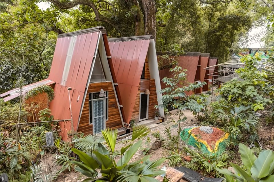 Cabañas A-frame de Eco Point con techos rojos de lámina y frentes de madera, en un jardín tropical bajo árboles altos.