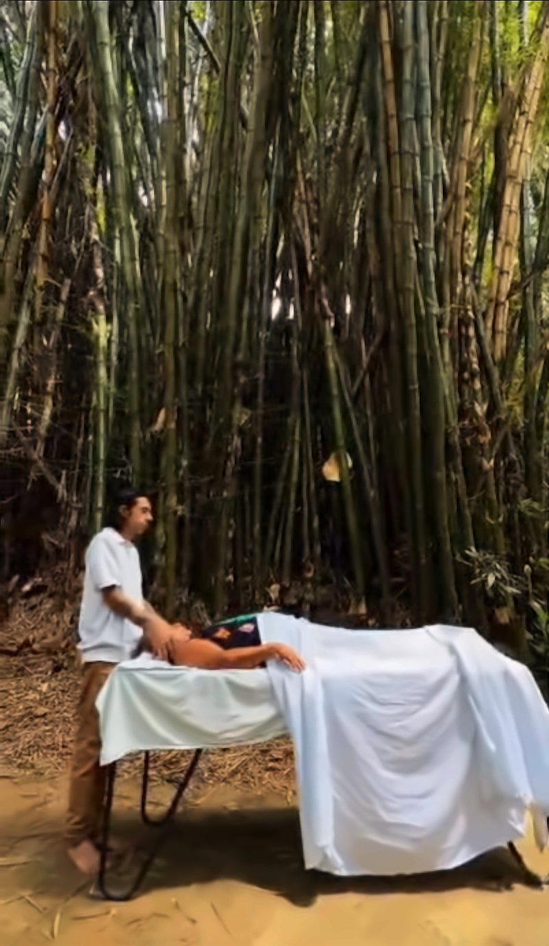 Sesión de Reiki al aire libre: un terapeuta junto a una camilla con una persona cubierta con sábanas blancas, dentro de un bosque de bambú.