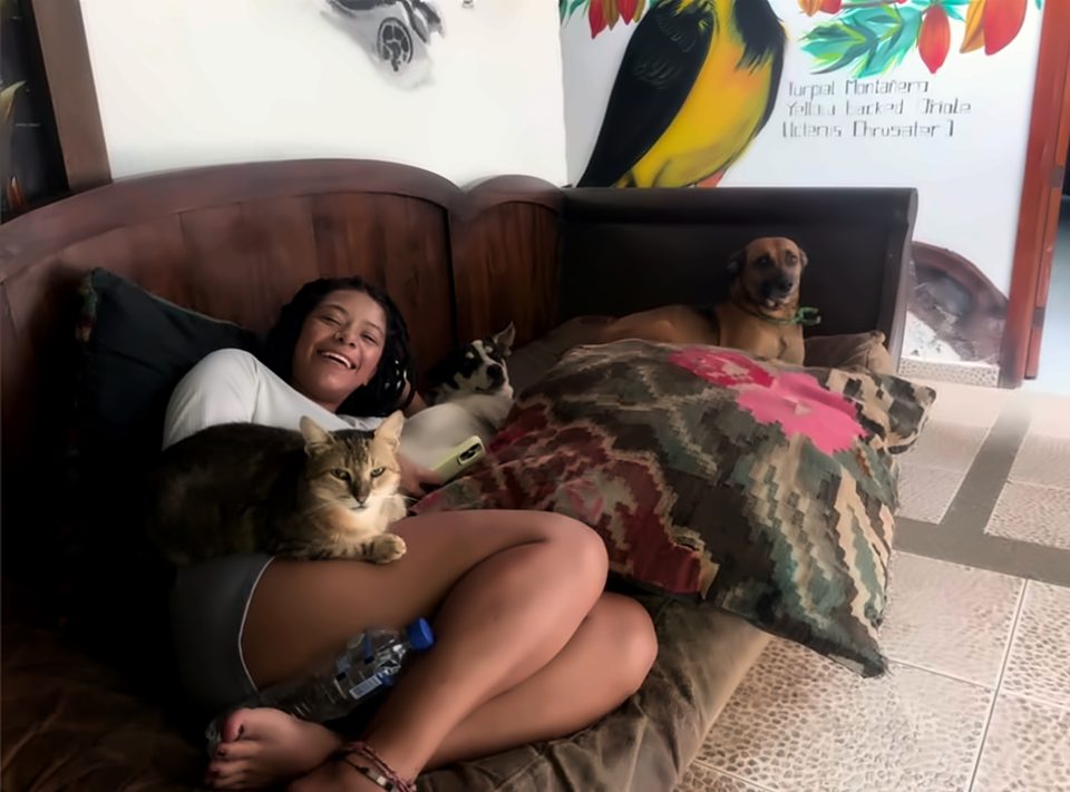 Una mujer ríe recostada en un sofá de madera con un gato atigrado encima y dos perros a su lado, bajo un mural del turpial montañero con su nombre científico.